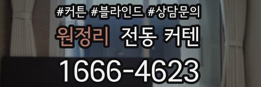 원정리 전동 커텐