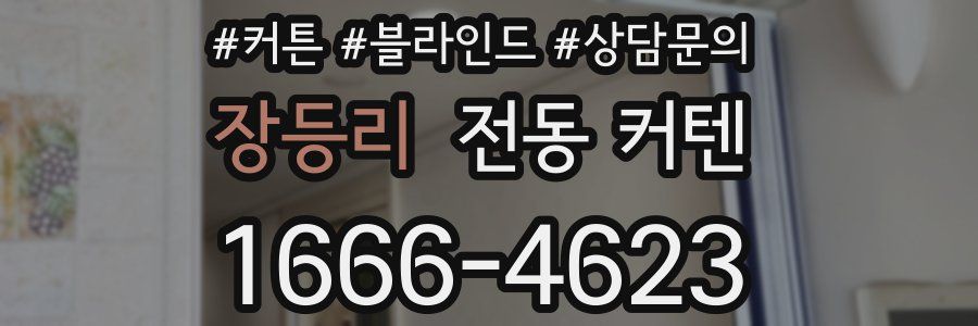 장등리 전동 커텐