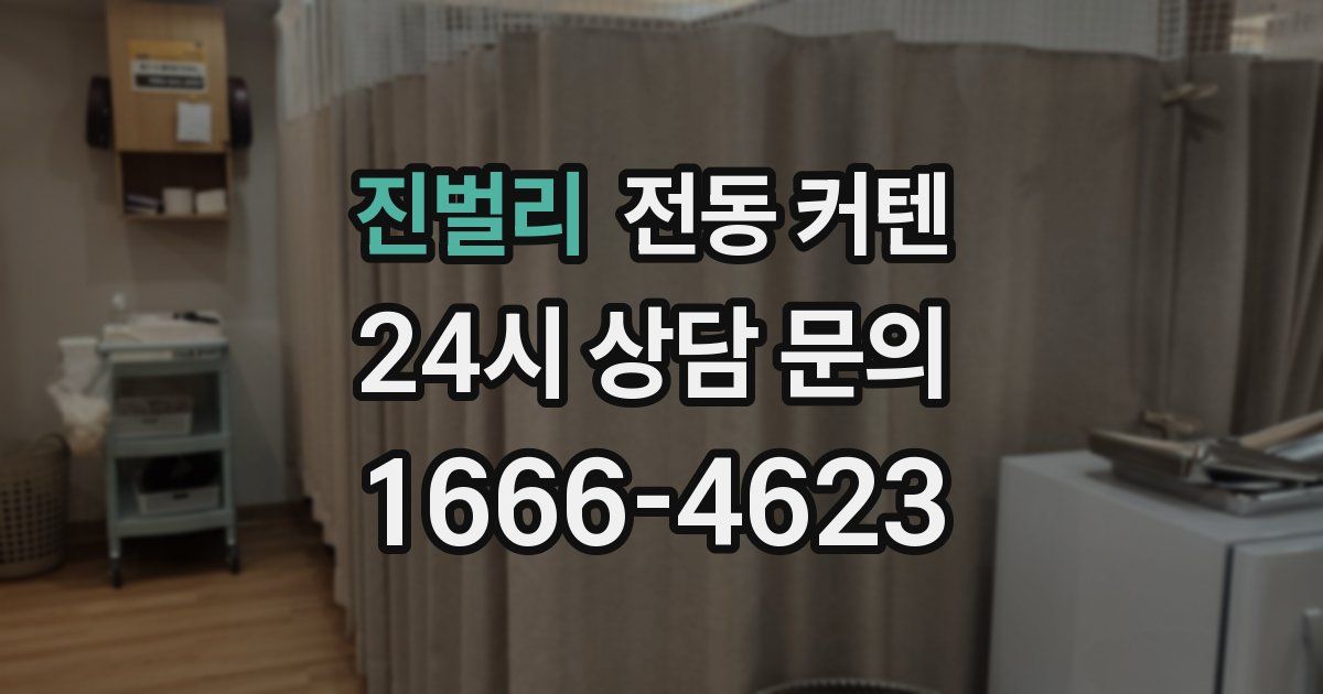 진벌리 전동 커텐