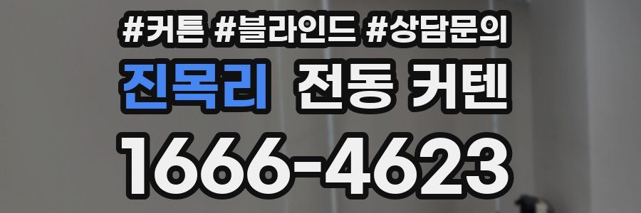 진목리 전동 커텐
