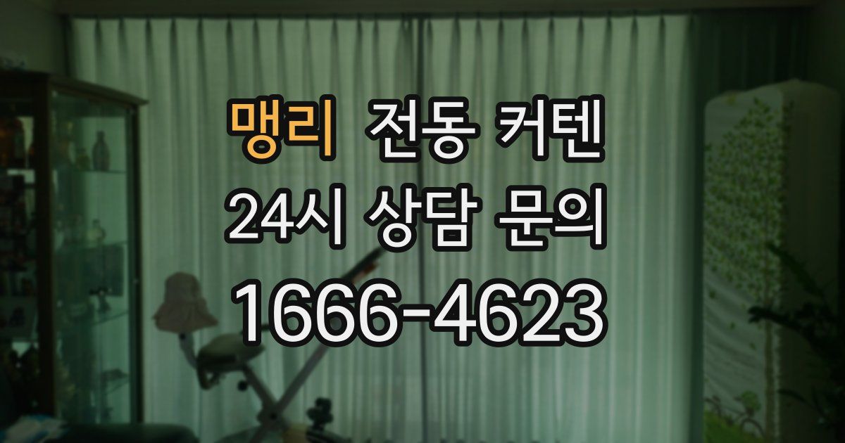 맹리 전동 커텐