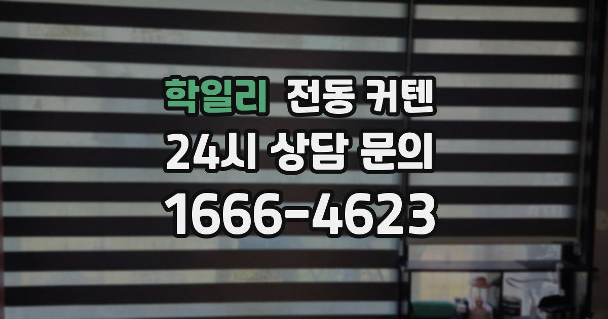 학일리 전동 커텐