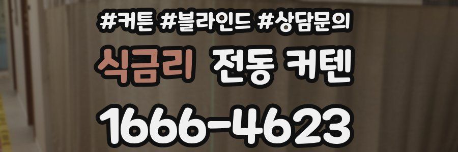 식금리 전동 커텐