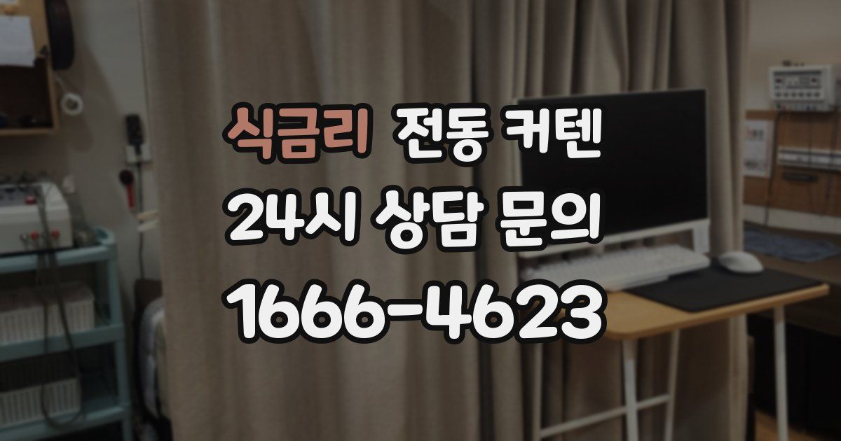 식금리 전동 커텐