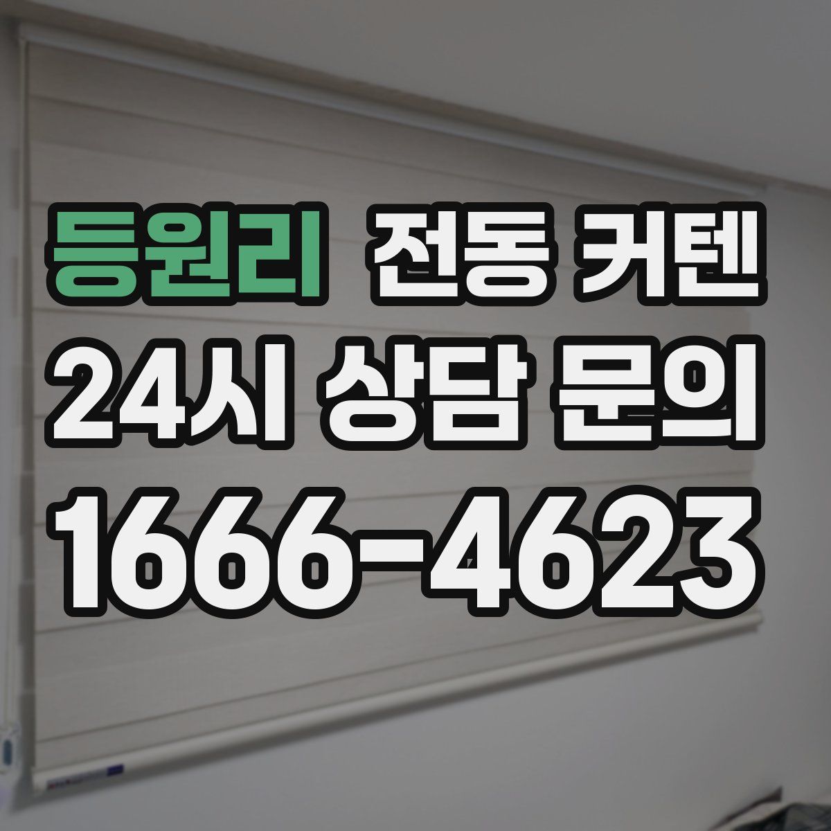 등원리 전동 커텐