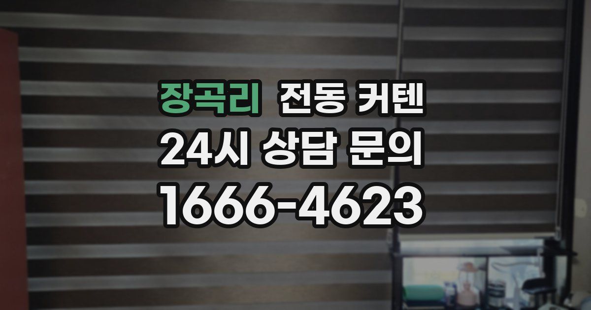 장곡리 전동 커텐