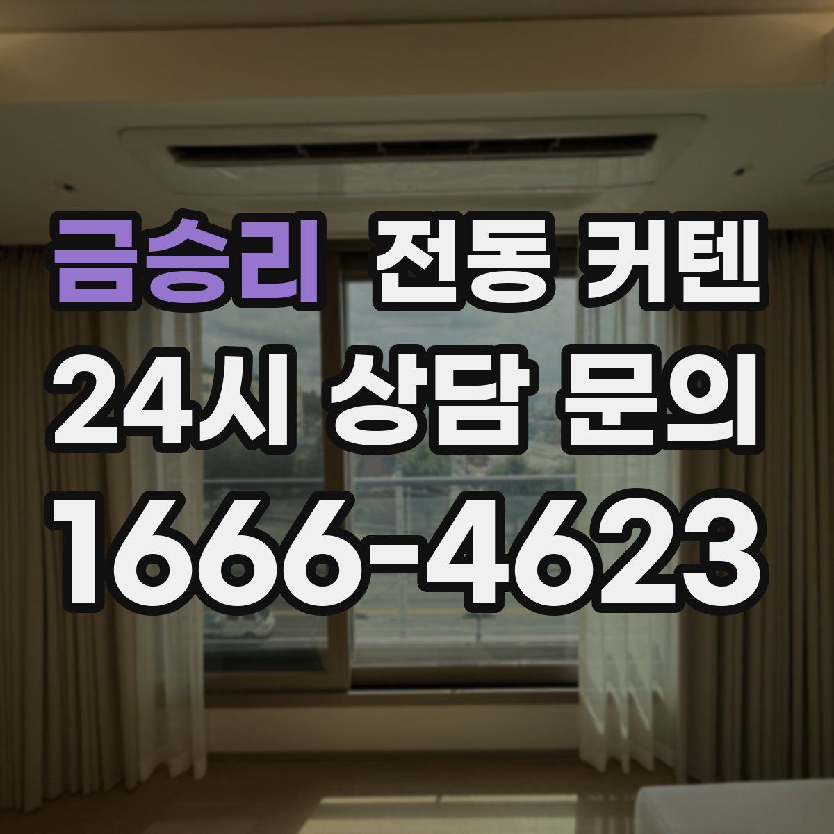 금승리 전동 커텐