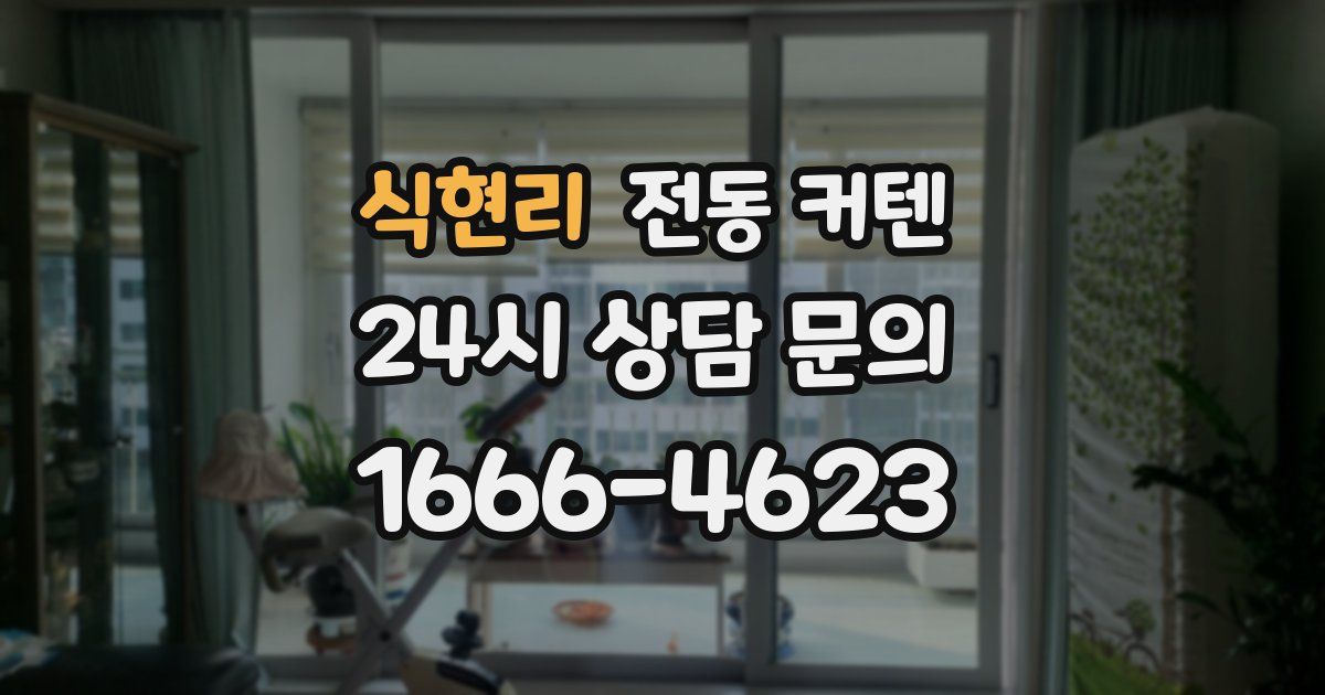 식현리 전동 커텐