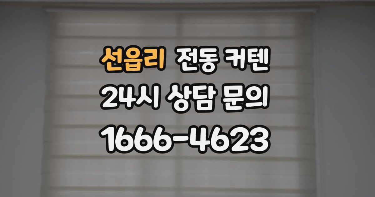 선읍리 전동 커텐