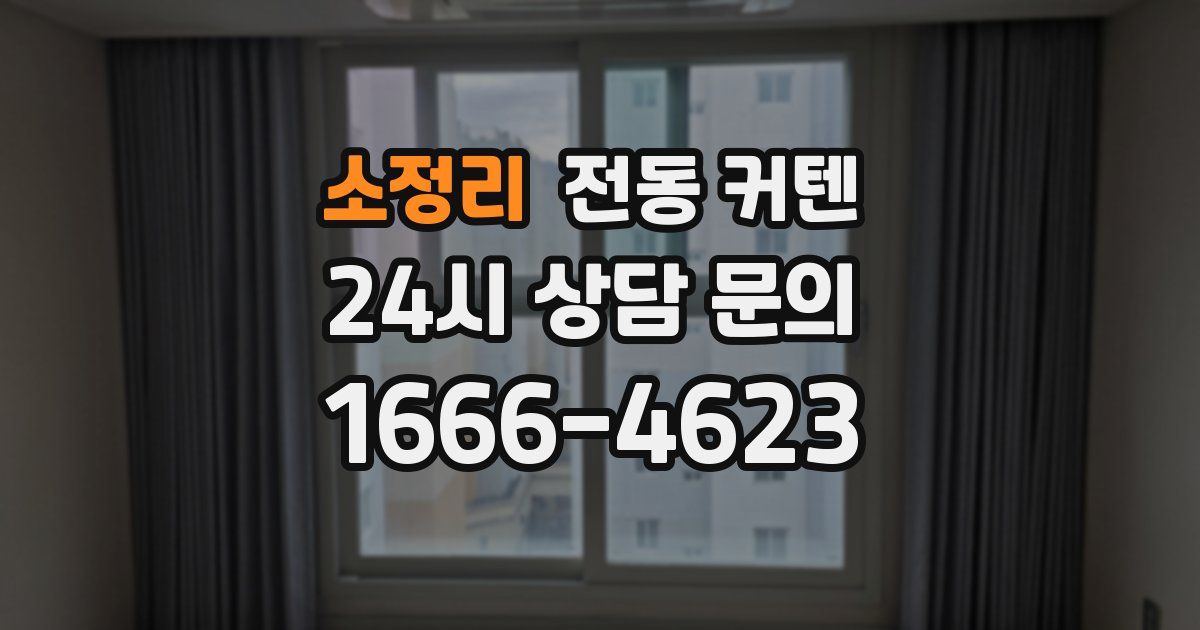 소정리 전동 커텐
