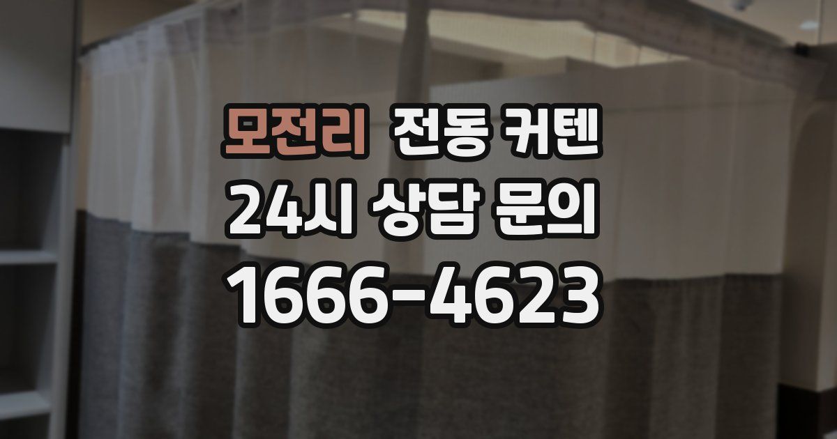 모전리 전동 커텐