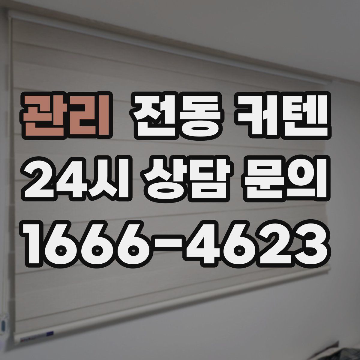관리 전동 커텐