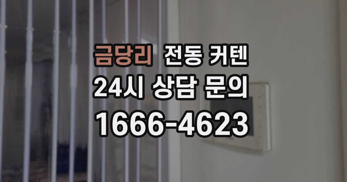금당리 전동 커텐