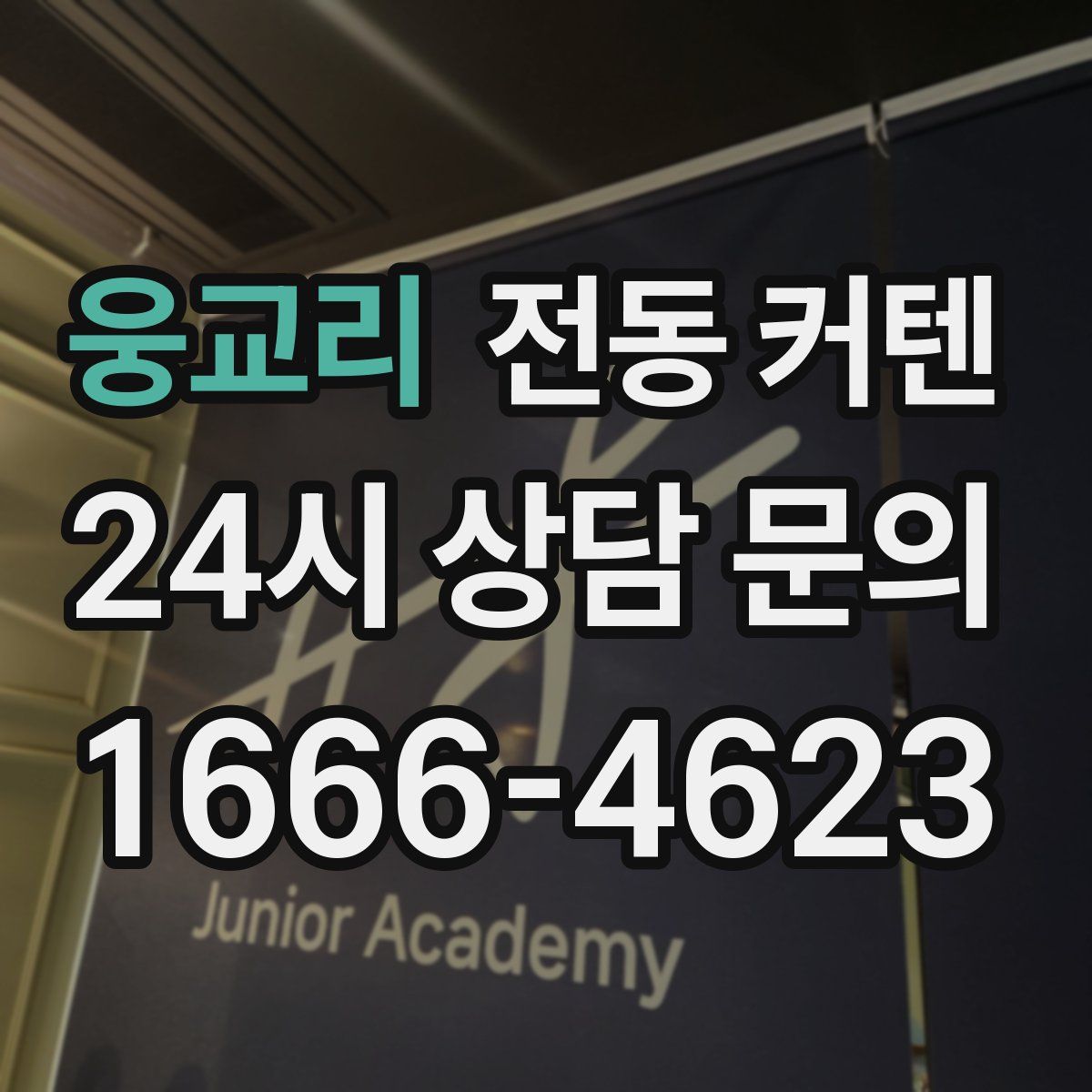 웅교리 전동 커텐