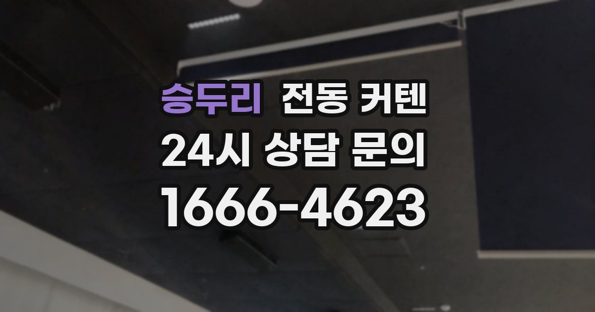 승두리 전동 커텐