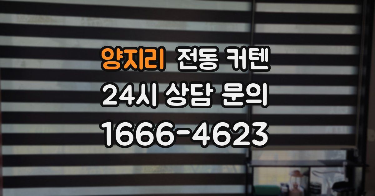 양지리 전동 커텐