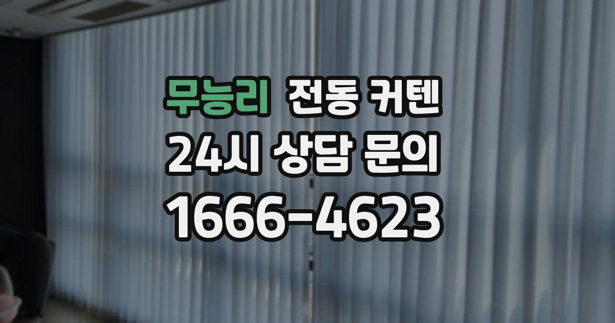 무능리 전동 커텐