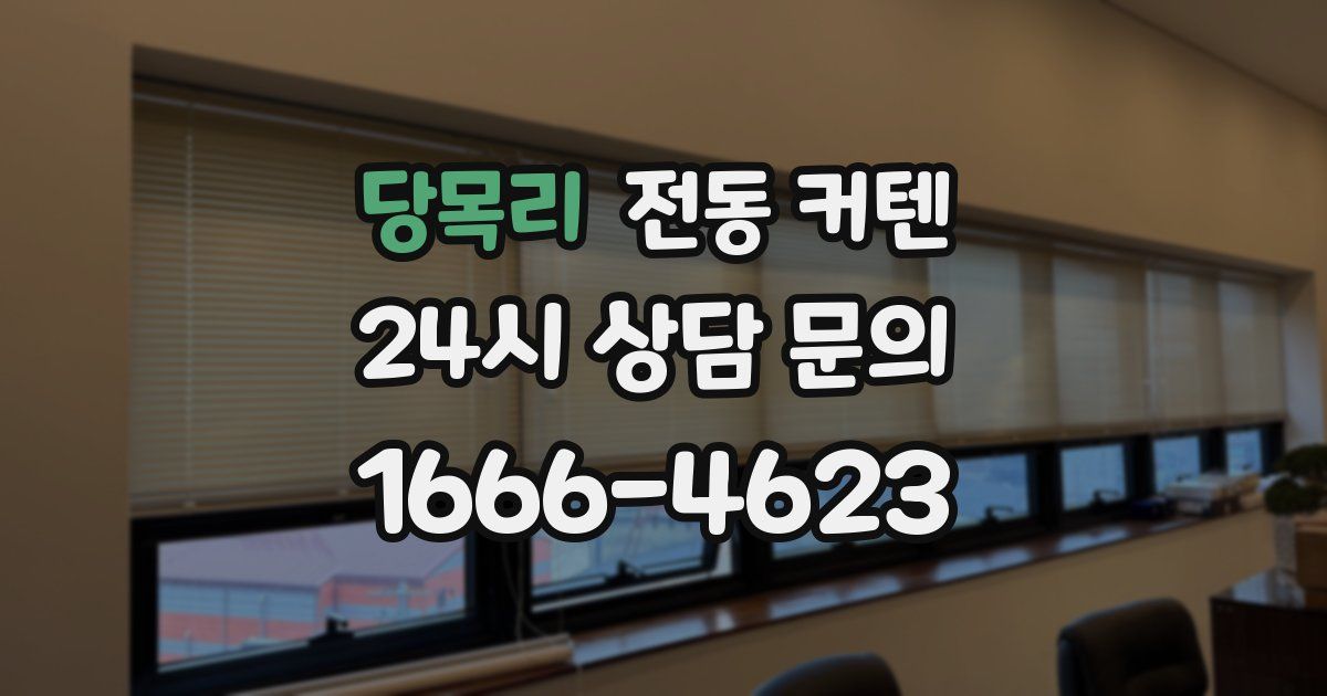 당목리 전동 커텐