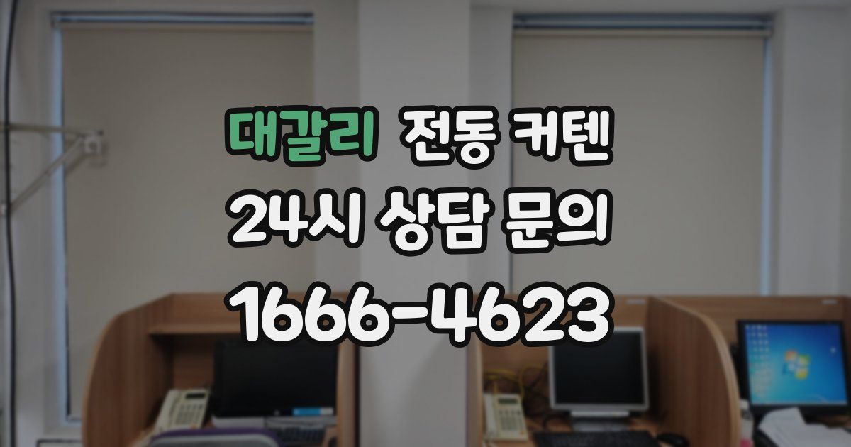 대갈리 전동 커텐
