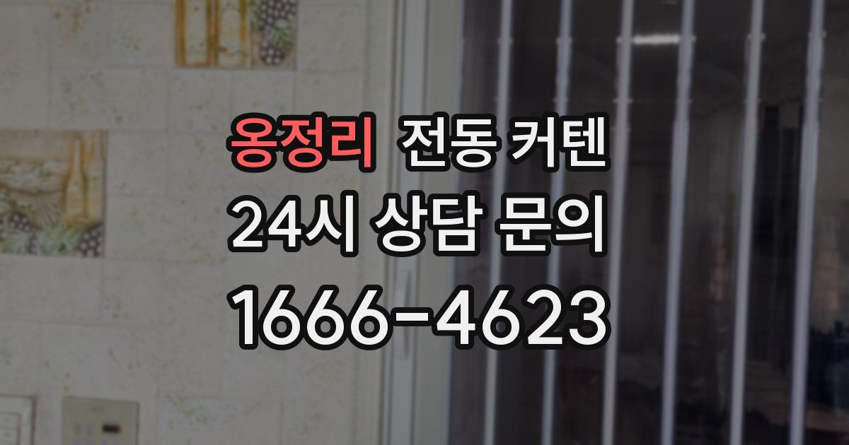 옹정리 전동 커텐
