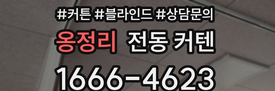 옹정리 전동 커텐