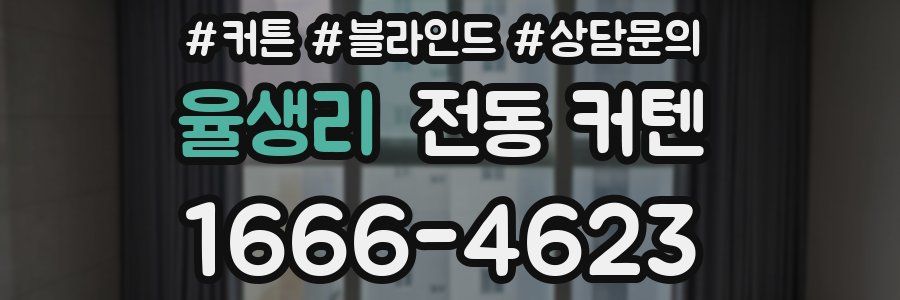 율생리 전동 커텐