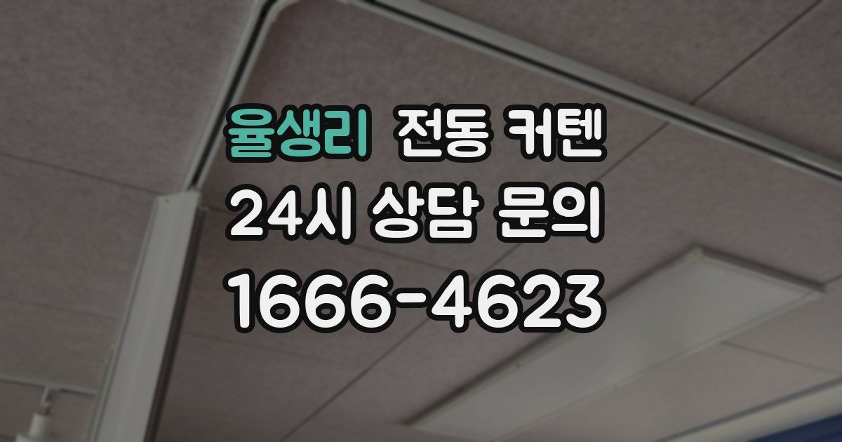 율생리 전동 커텐
