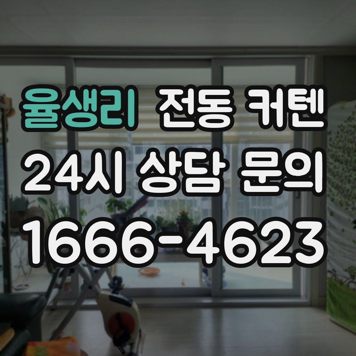 율생리 전동 커텐