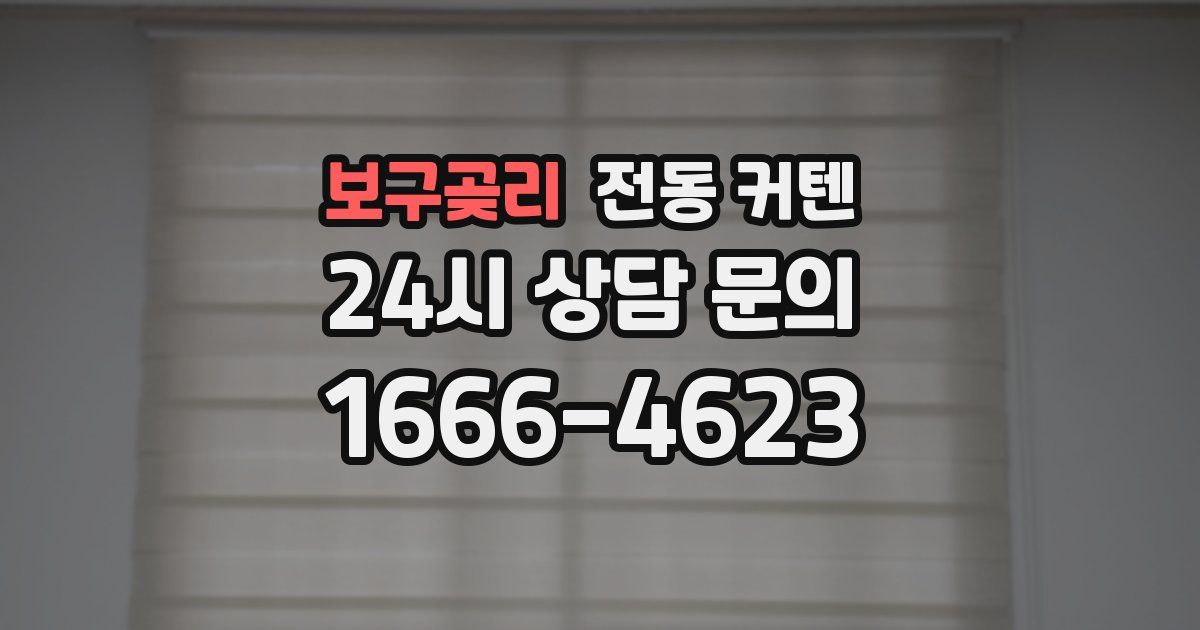 보구곶리 전동 커텐