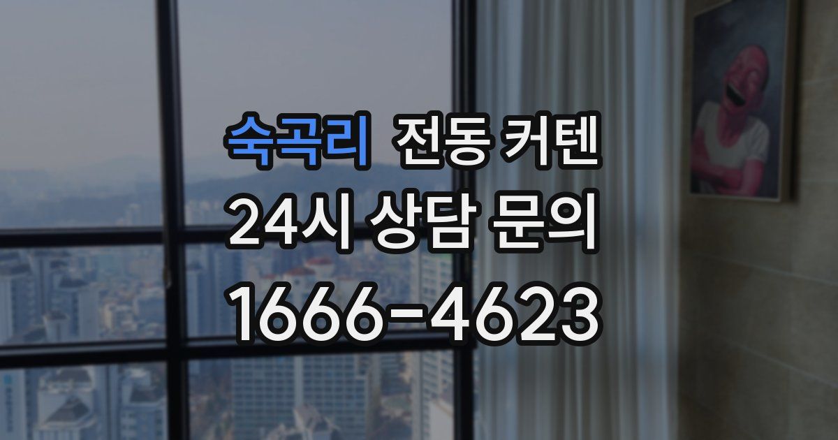 숙곡리 전동 커텐