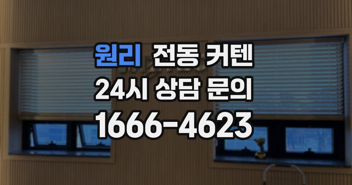 원리 전동 커텐