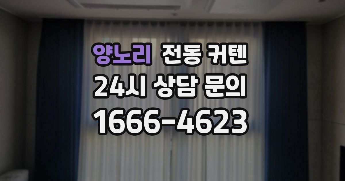 양노리 전동 커텐