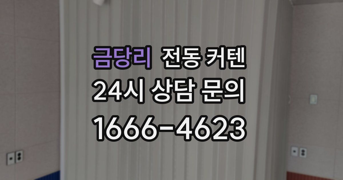 금당리 전동 커텐