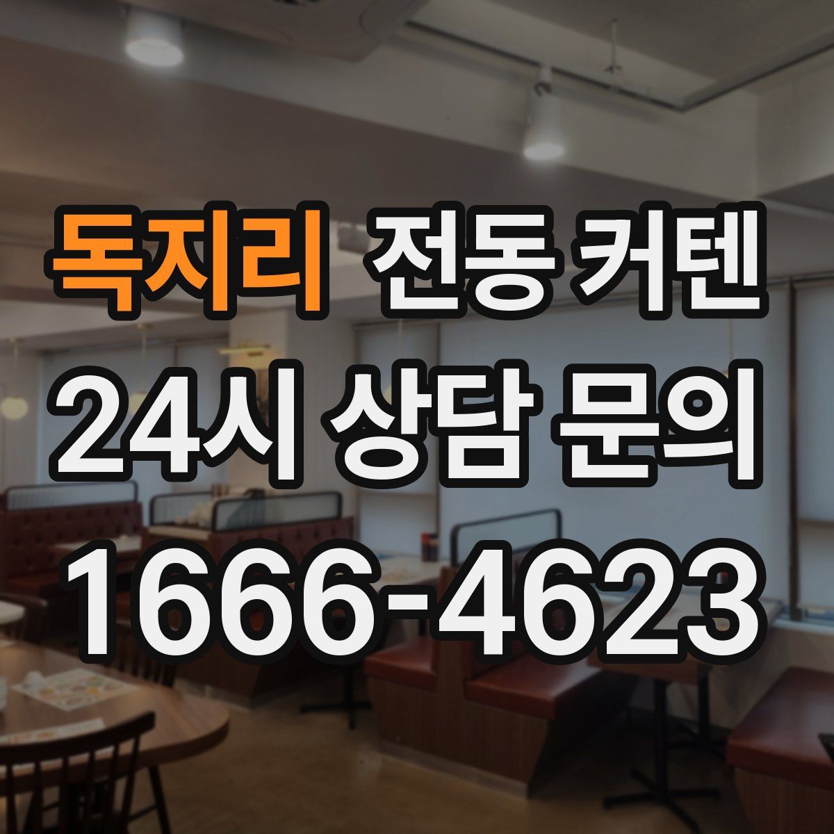 독지리 전동 커텐