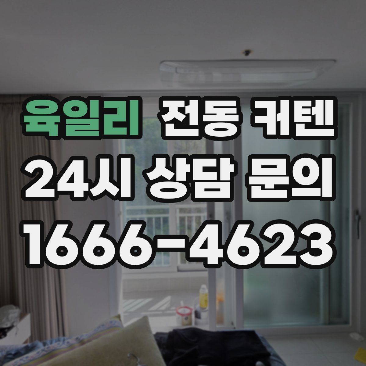 육일리 전동 커텐