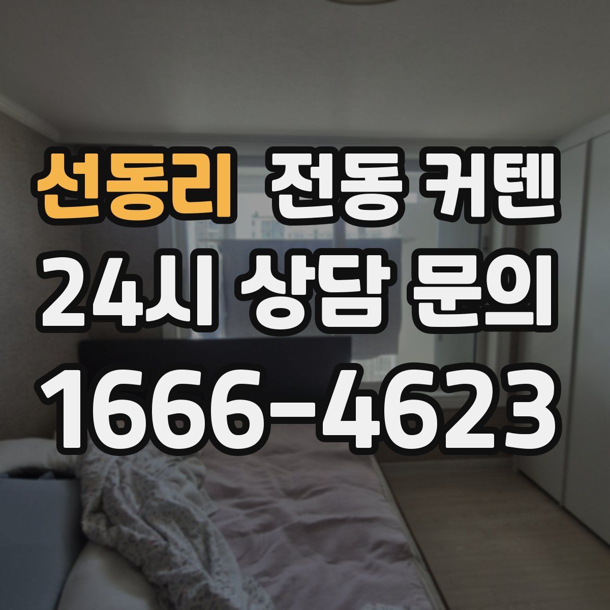 선동리 전동 커텐