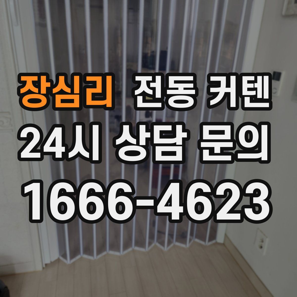 장심리 전동 커텐