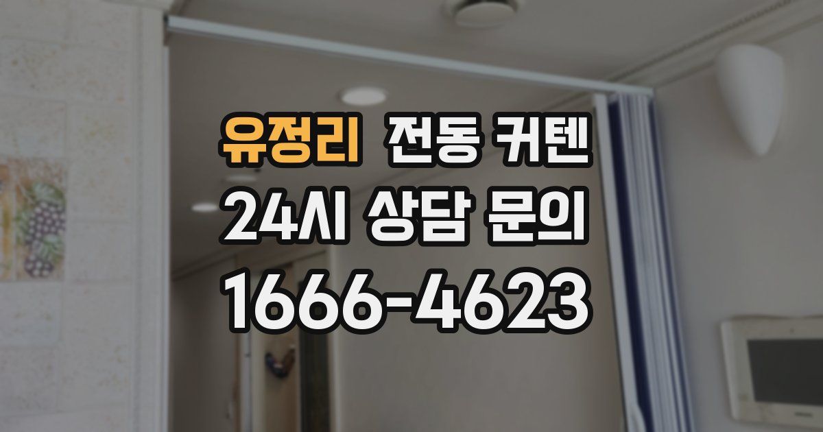 유정리 전동 커텐