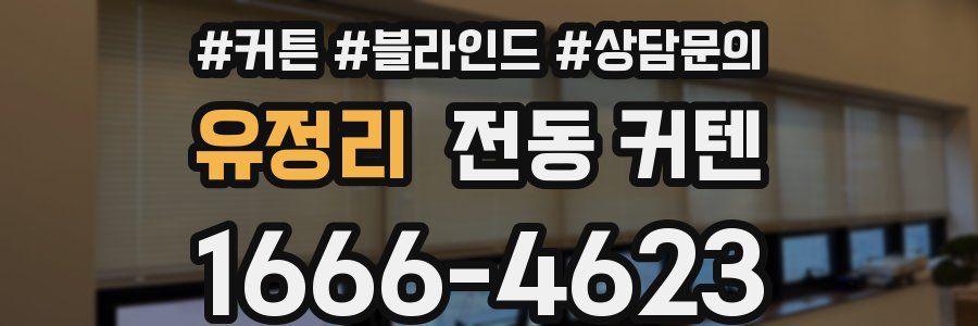 유정리 전동 커텐