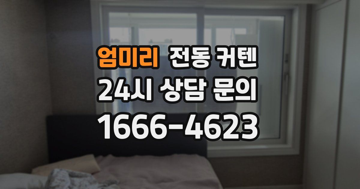 엄미리 전동 커텐