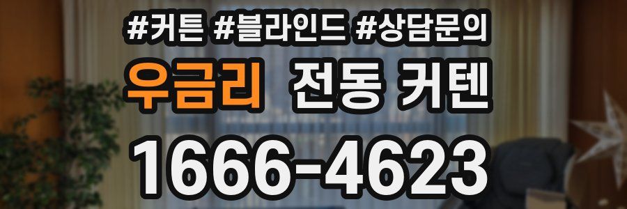 우금리 전동 커텐