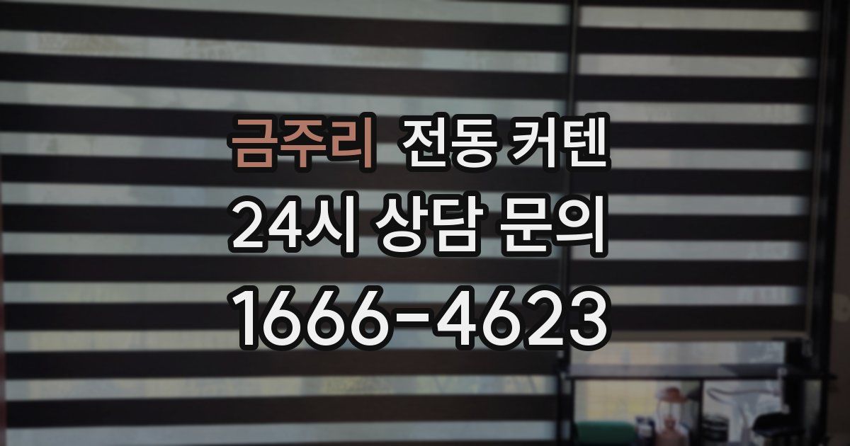 금주리 전동 커텐