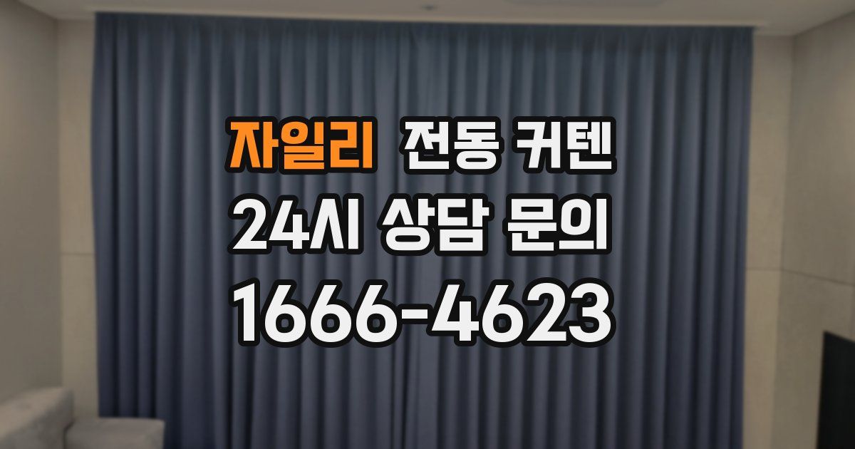 자일리 전동 커텐