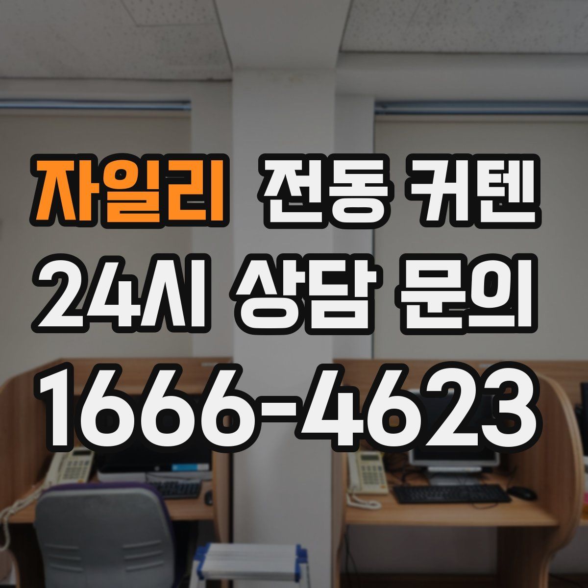 자일리 전동 커텐