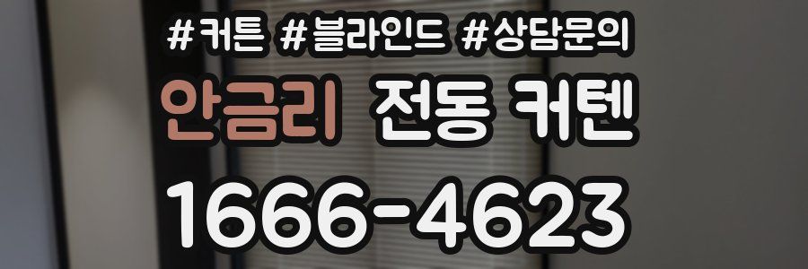 안금리 전동 커텐