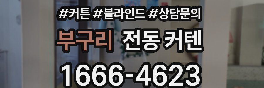 부구리 전동 커텐