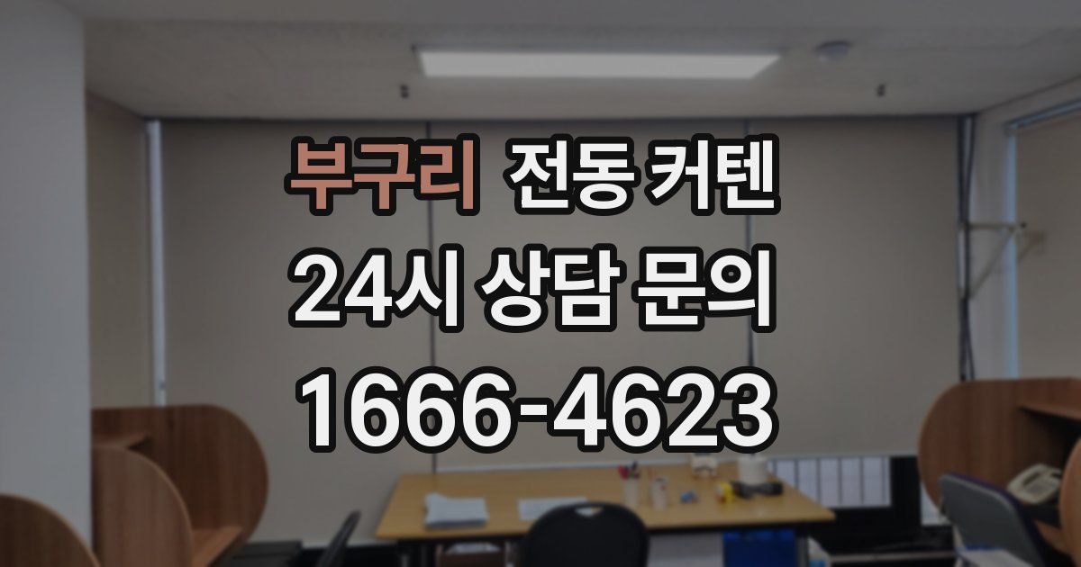부구리 전동 커텐