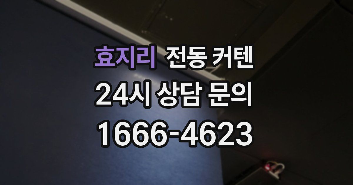 효지리 전동 커텐
