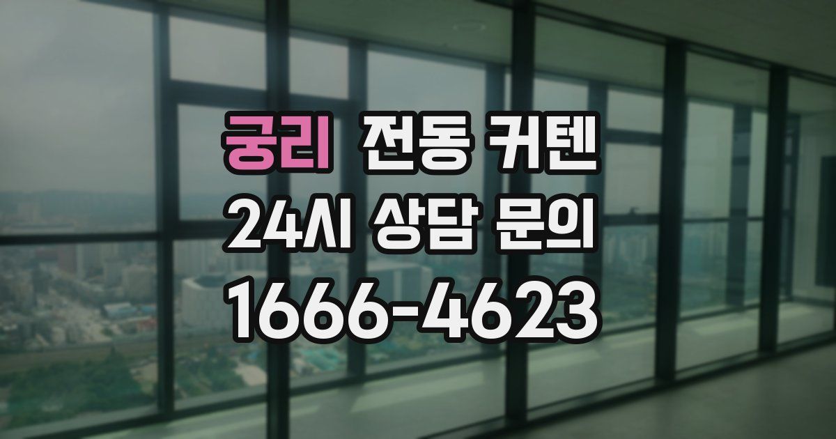 궁리 전동 커텐