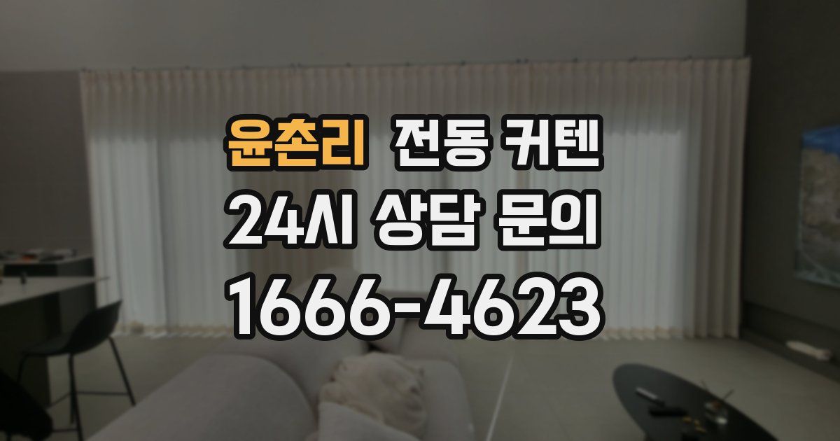 윤촌리 전동 커텐